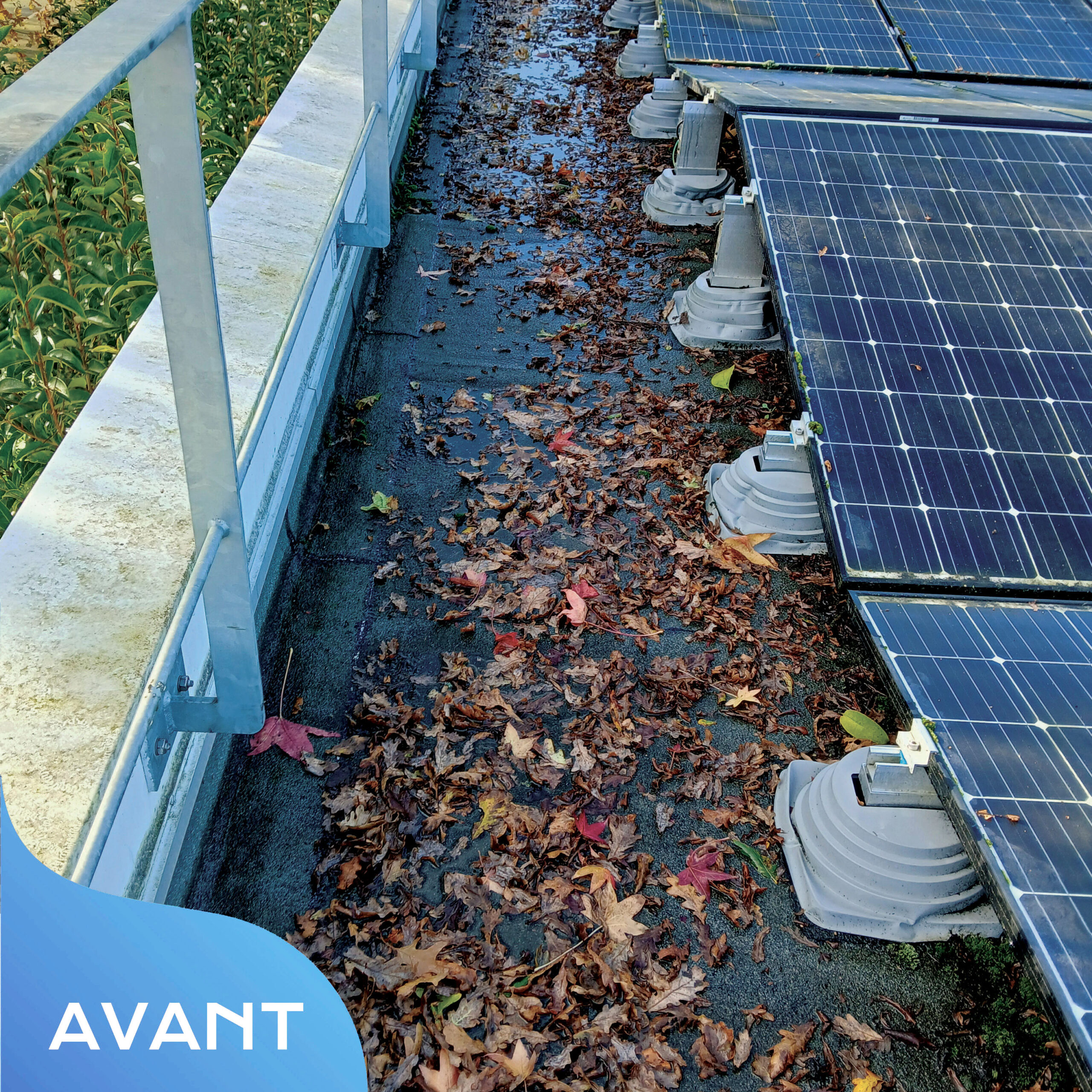 20241126_112254 copie 2