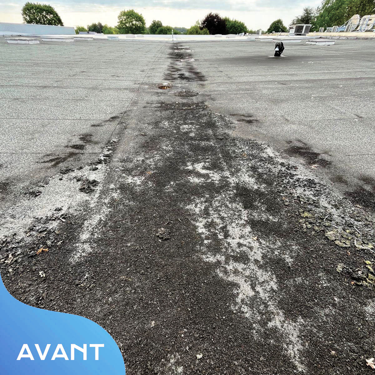 IMG-20250507-WA0055 copie 2