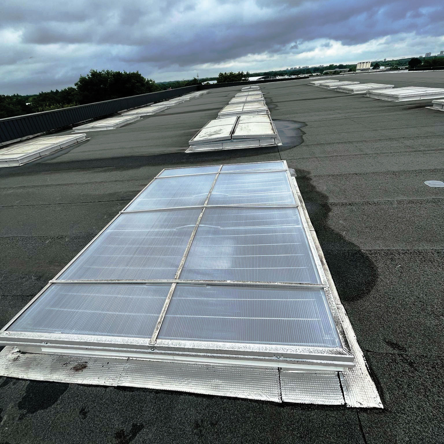 WhatsApp Image 2025-06-17 à 08.03.43_41dc5af5 copie